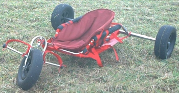 Buggy